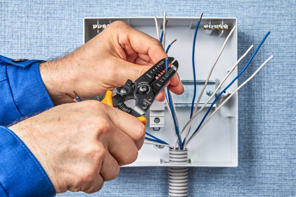 Best Electrical Panel Upgrades  in Pine Air, FL